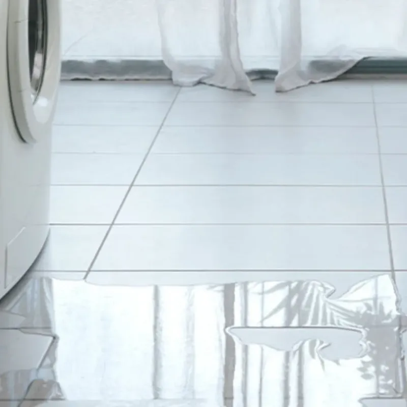 Appliance Leak Cleanup in Quincy, MI