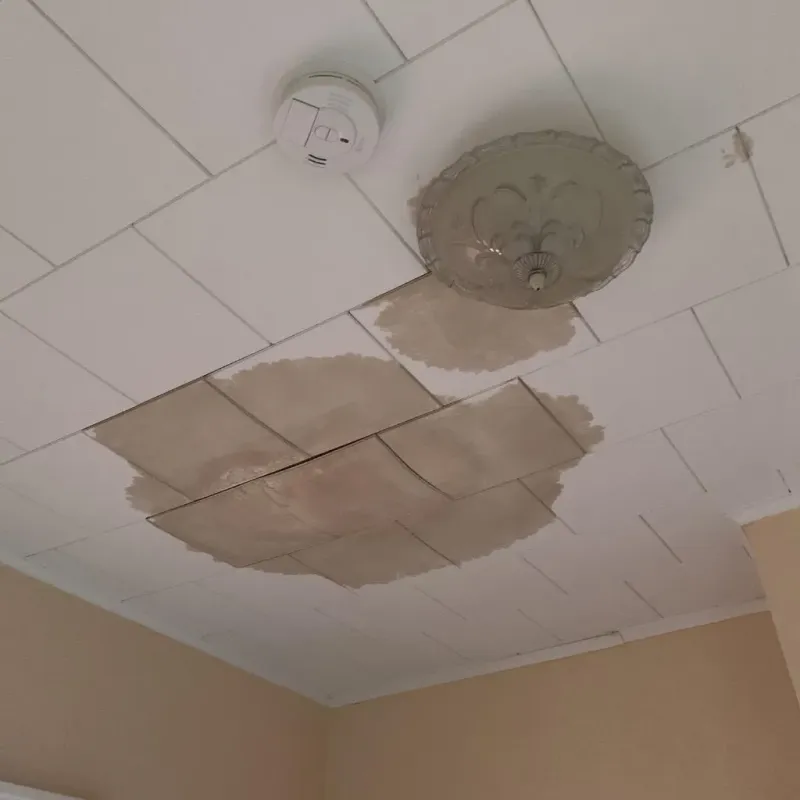 Ceiling Water Damage Repair in Quincy, MI