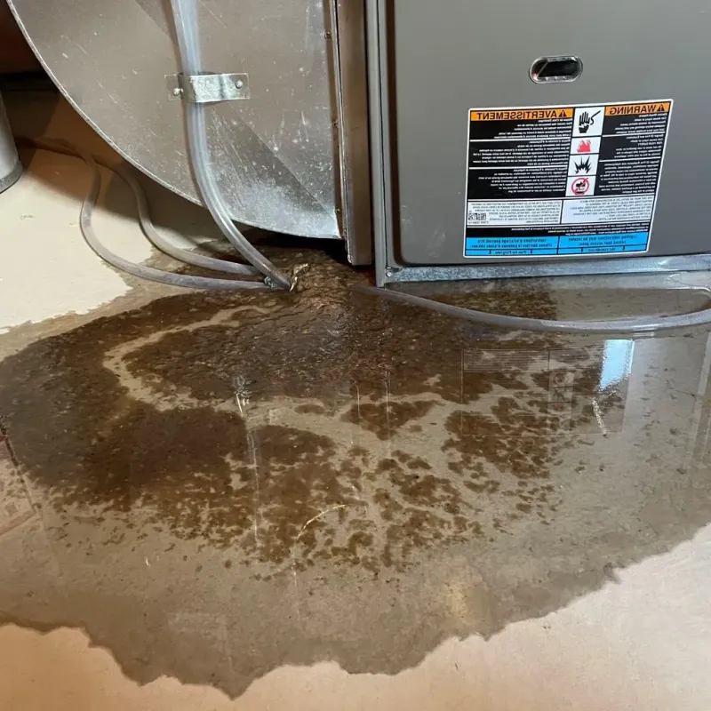 Pipe Burst and Leak Restoration in Quincy, MI