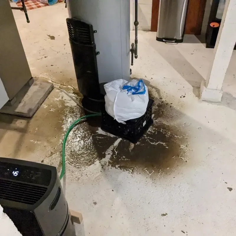 Sewage Backup Cleanup Service in Quincy, MI